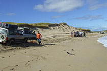 Trail Track 4x4